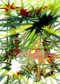 Imagem 13