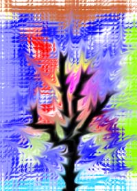 Imagem 3